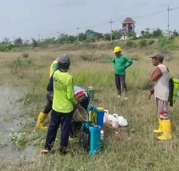 Gotong Royong Ala NU, Warga Rejoso Nganjuk Tanam Jagung untuk Bangun Masjid